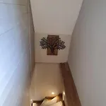 Dovolenkový dom Domasa David *