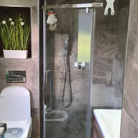 Domasa David * Bzany