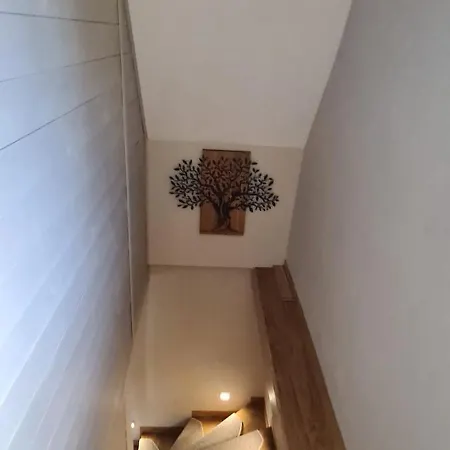 Prázdninový dům Domasa David *