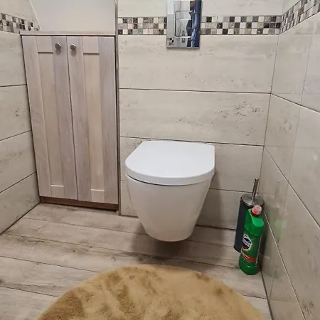 Domasa David * Bzany