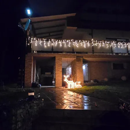 Domasa David * Bzany