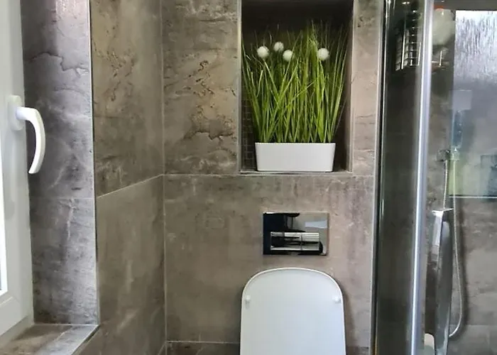 Domasa David בית נופש