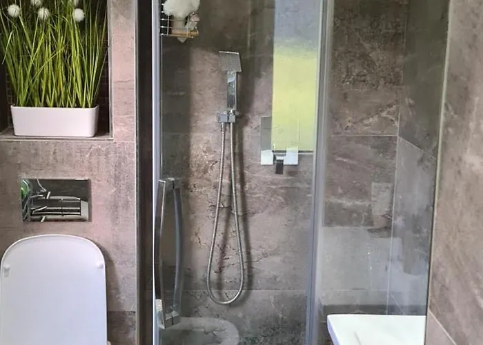 Domasa David * Bzany