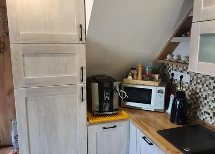 Domasa David בית נופש