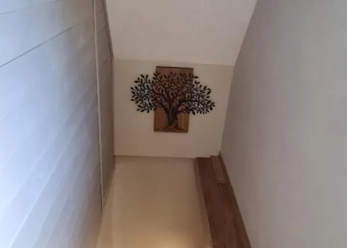 בית נופש Domasa David *