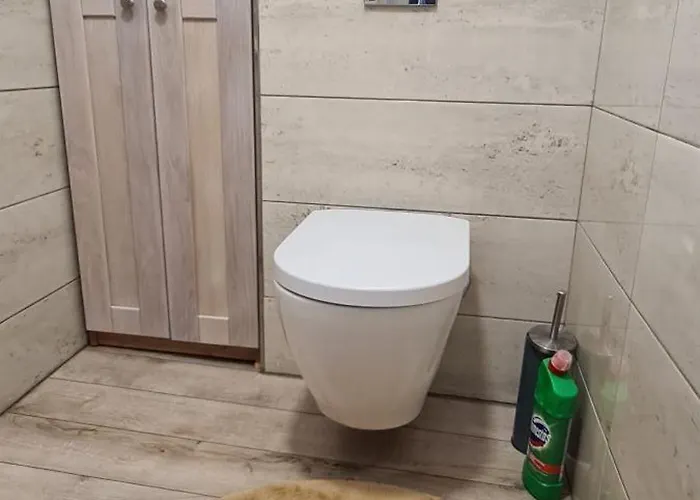 Domasa David * Bzany