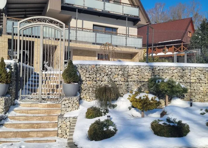 Domasa David בית נופש *