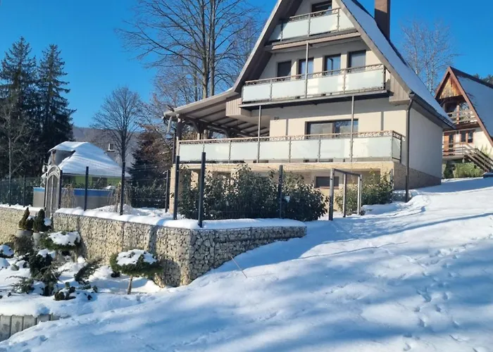 Domasa David * Bzany