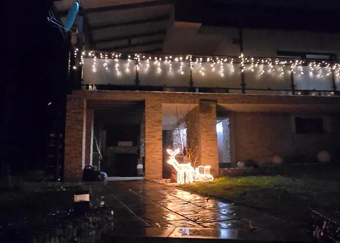 Domasa David * Bzany